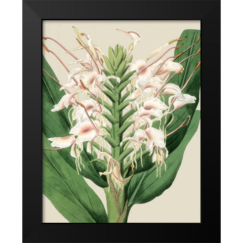Orchid Blooms IV Black Modern Wood Framed Art Print by Vision Studio