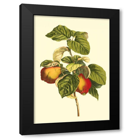 Bessa Pear Black Modern Wood Framed Art Print by Bessa