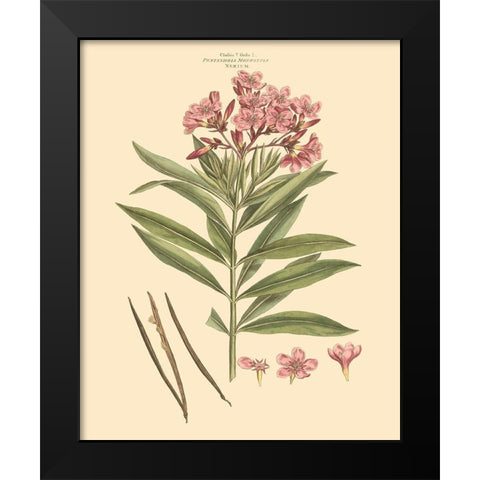 Blushing Pink Florals III Black Modern Wood Framed Art Print by Miller, John