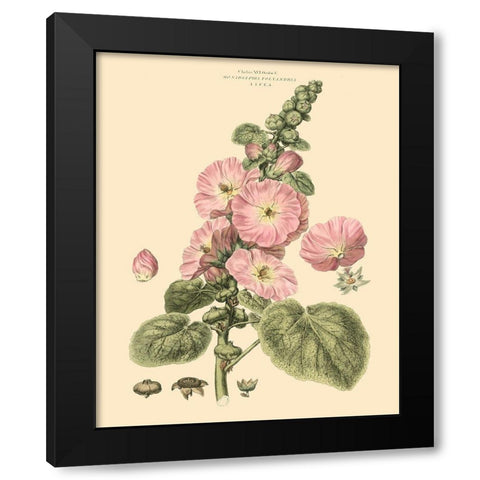 Blushing Pink Florals V Black Modern Wood Framed Art Print by Miller, John