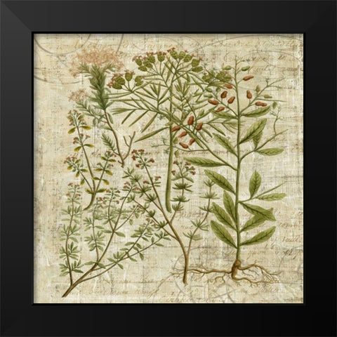 Garden Verses I Black Modern Wood Framed Art Print by Vision Studio