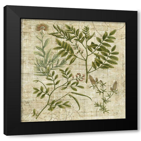 Garden Verses II Black Modern Wood Framed Art Print with Double Matting by Vision Studio
