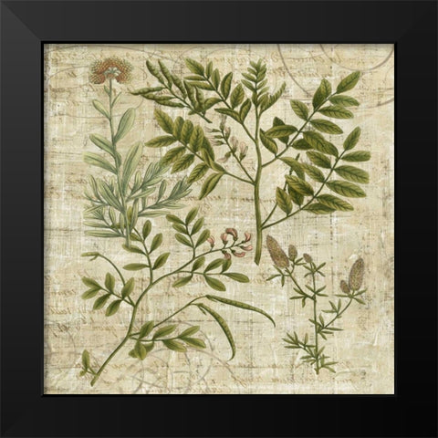 Garden Verses II Black Modern Wood Framed Art Print by Vision Studio