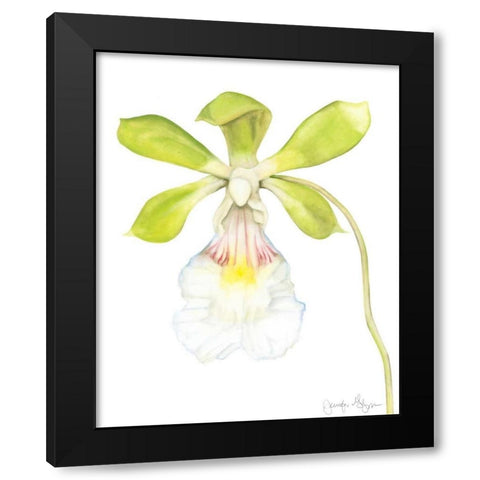 Orchid Beauty I Black Modern Wood Framed Art Print with Double Matting by Goldberger, Jennifer