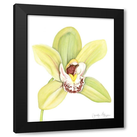 Orchid Beauty II Black Modern Wood Framed Art Print with Double Matting by Goldberger, Jennifer