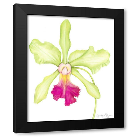 Orchid Beauty III Black Modern Wood Framed Art Print with Double Matting by Goldberger, Jennifer