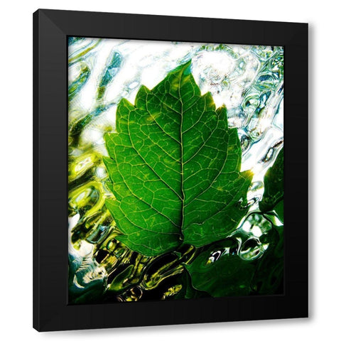 Rising Black Modern Wood Framed Art Print with Double Matting by Morris, Leonard