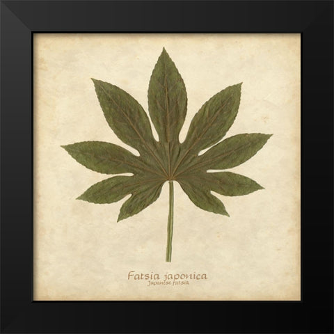 Japanese Fatsia Black Modern Wood Framed Art Print by Davis, Becky