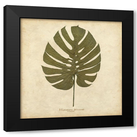 Windowleaf Black Modern Wood Framed Art Print by Davis, Becky