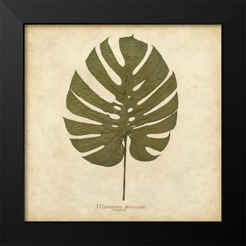 Windowleaf Black Modern Wood Framed Art Print by Davis, Becky