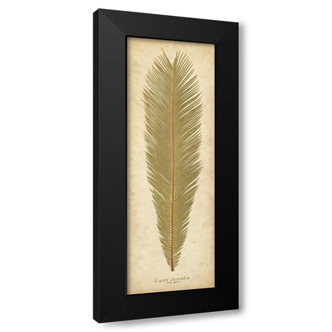 Sago Palm I Black Modern Wood Framed Art Print by Davis, Becky