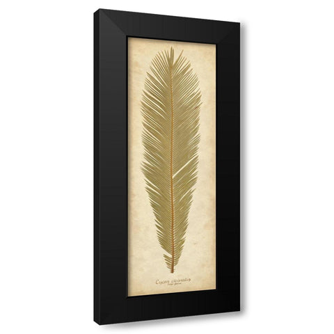 Sago Palm II Black Modern Wood Framed Art Print by Davis, Becky