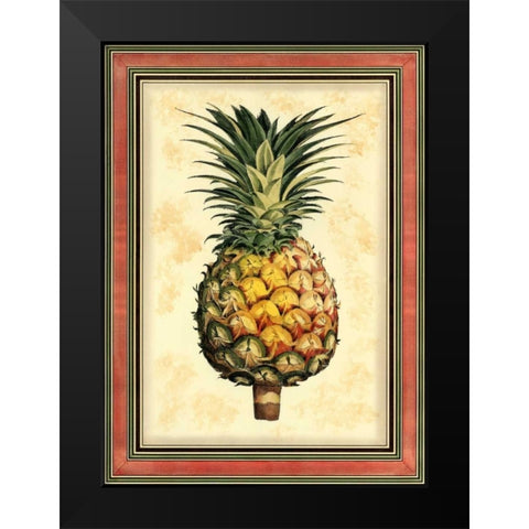 Pineapple Splendor I Black Modern Wood Framed Art Print by Vision Studio