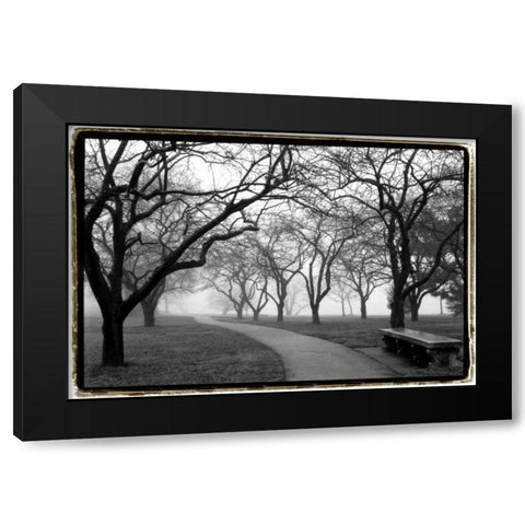 Foggy Morning Walk Black Modern Wood Framed Art Print by DeNardo, Laura