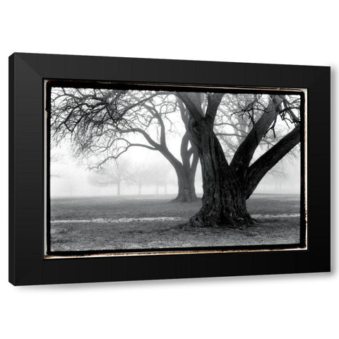 Strength - Beauty Black Modern Wood Framed Art Print by DeNardo, Laura