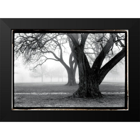 Strength - Beauty Black Modern Wood Framed Art Print by DeNardo, Laura