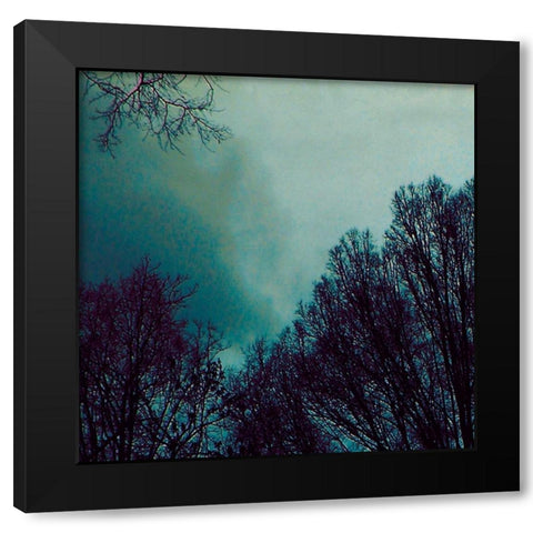 Nocturne I Black Modern Wood Framed Art Print by Ludwig, Alicia