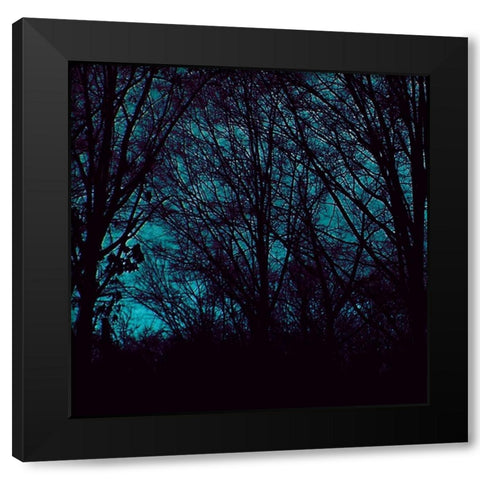 Nocturne III Black Modern Wood Framed Art Print by Ludwig, Alicia