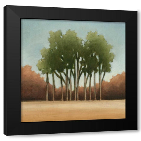 Stand of Trees I Black Modern Wood Framed Art Print with Double Matting by Harper, Ethan