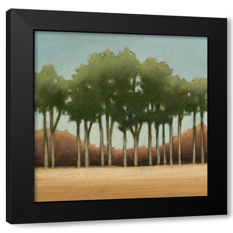 Stand of Trees II Black Modern Wood Framed Art Print with Double Matting by Harper, Ethan