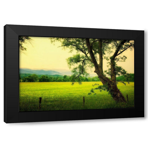 Morning at the Cove I Black Modern Wood Framed Art Print with Double Matting by Head, Danny
