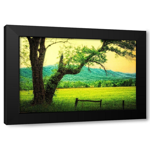 Morning at the Cove II Black Modern Wood Framed Art Print by Head, Danny