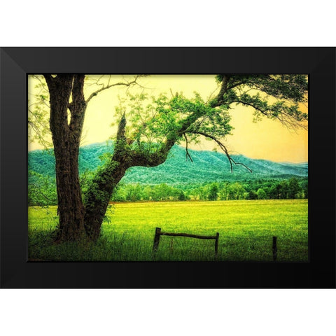 Morning at the Cove II Black Modern Wood Framed Art Print by Head, Danny