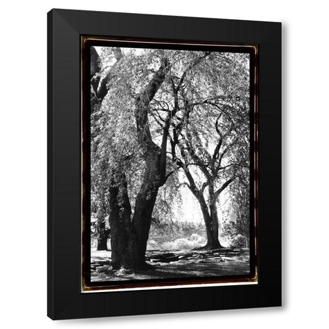 Summer Shade III Black Modern Wood Framed Art Print by DeNardo, Laura