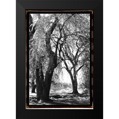Summer Shade III Black Modern Wood Framed Art Print by DeNardo, Laura