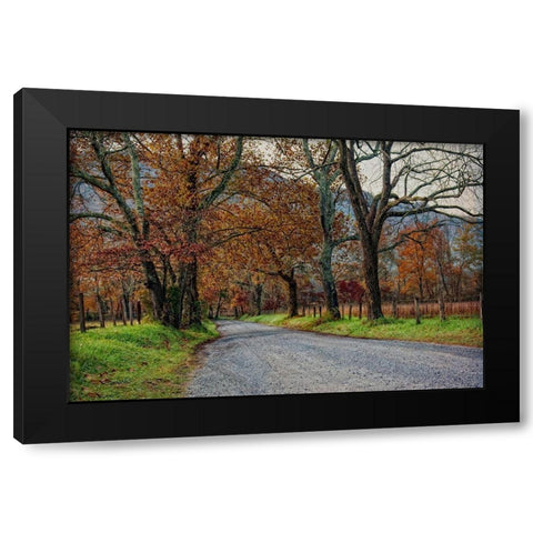 Morning on Sparks Lane I Black Modern Wood Framed Art Print by Head, Danny