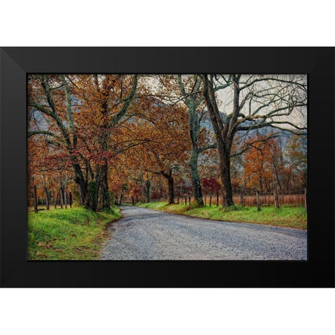 Morning on Sparks Lane I Black Modern Wood Framed Art Print by Head, Danny