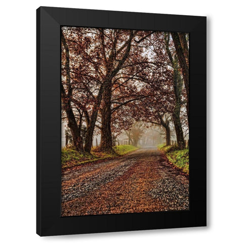 Morning on Sparks Lane II Black Modern Wood Framed Art Print with Double Matting by Head, Danny