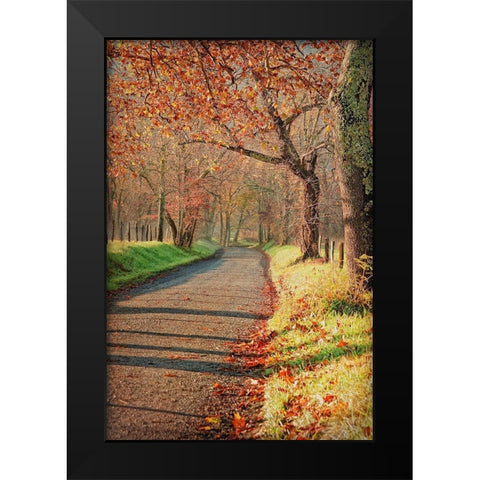 Morning on Sparks Lane III Black Modern Wood Framed Art Print by Head, Danny