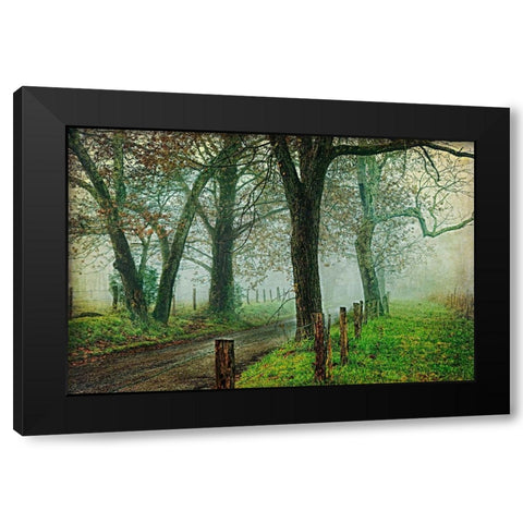Morning on Sparks Lane IV Black Modern Wood Framed Art Print with Double Matting by Head, Danny