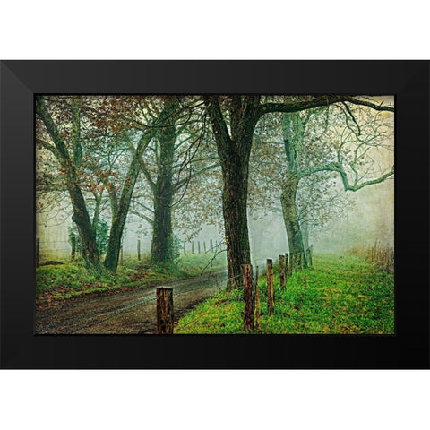 Morning on Sparks Lane IV Black Modern Wood Framed Art Print by Head, Danny