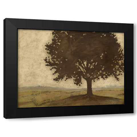Shenandoah Vista II (ASH) Black Modern Wood Framed Art Print with Double Matting by Meagher, Megan