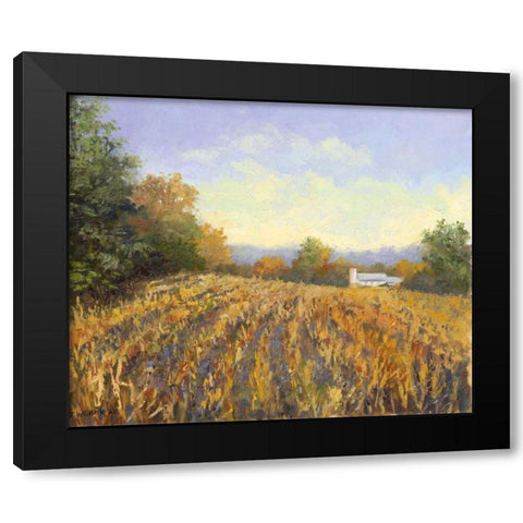 Corn Rows Black Modern Wood Framed Art Print with Double Matting by Weber, Mary Jean
