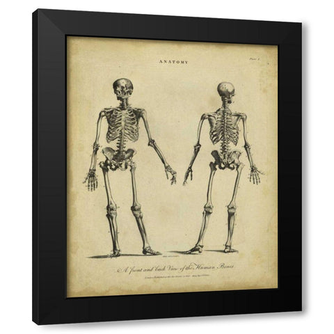 Anatomy Study I Black Modern Wood Framed Art Print with Double Matting by Wilkes