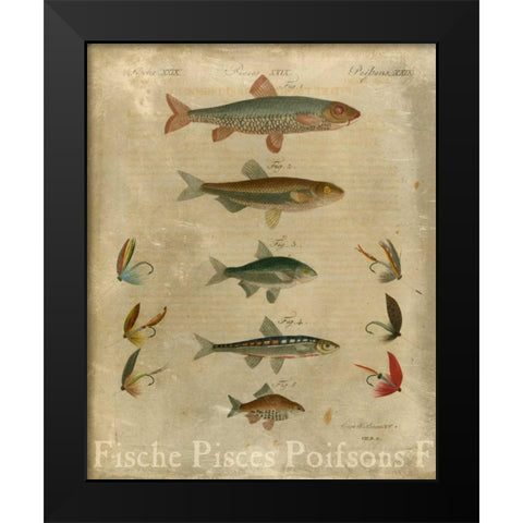 Pisces Composition I Black Modern Wood Framed Art Print by Vision Studio