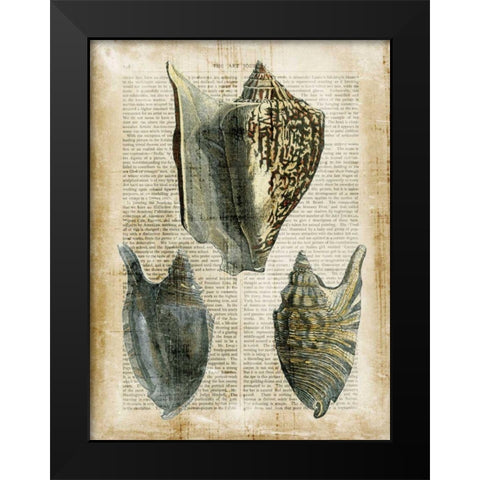 Antiquarian Seashells I Black Modern Wood Framed Art Print by Vision Studio