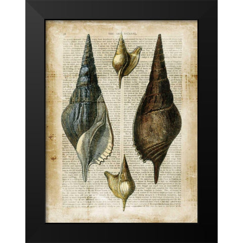 Antiquarian Seashells II Black Modern Wood Framed Art Print by Vision Studio