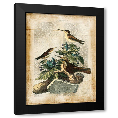 Antiquarian Birds IV Black Modern Wood Framed Art Print by Vision Studio