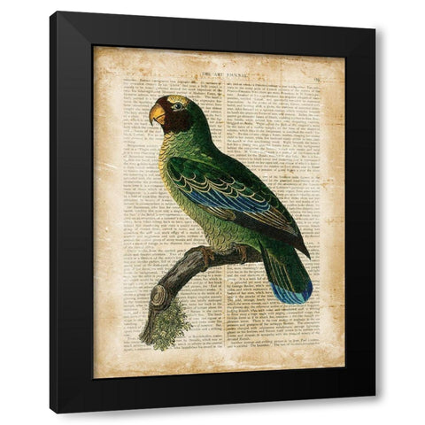 Antiquarian Birds VI Black Modern Wood Framed Art Print by Vision Studio