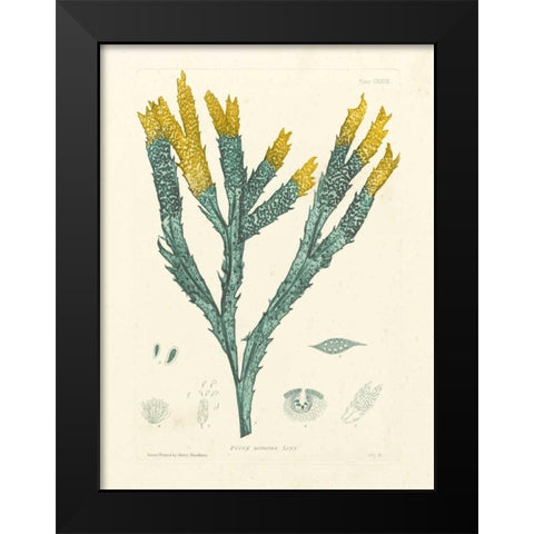 Luminous Seaweed I Black Modern Wood Framed Art Print by Bradbury, Henry