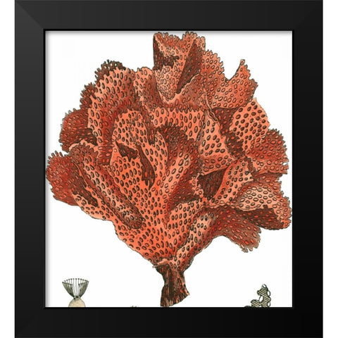 Red Coral IV Black Modern Wood Framed Art Print by Vision Studio