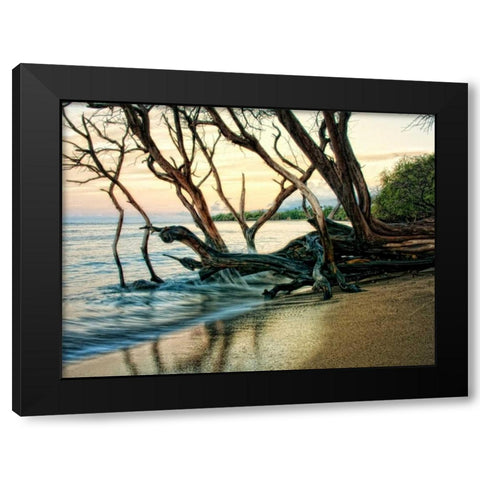 Reaching for the Sea I Black Modern Wood Framed Art Print by Head, Danny