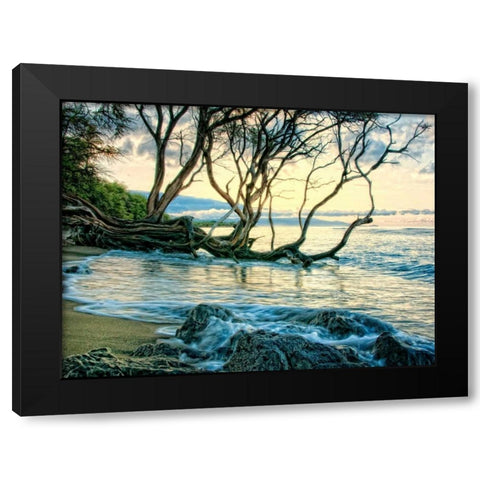 Reaching for the Sea II Black Modern Wood Framed Art Print with Double Matting by Head, Danny