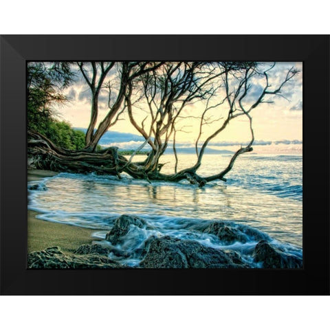 Reaching for the Sea II Black Modern Wood Framed Art Print by Head, Danny