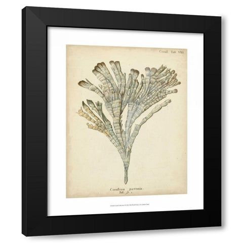 Coral Collection I Black Modern Wood Framed Art Print by Esper, Johann