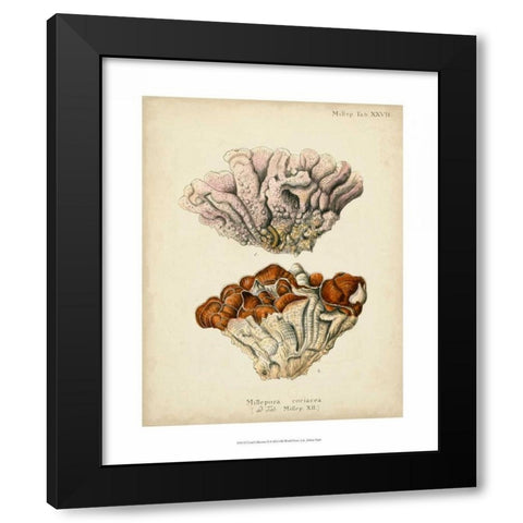 Coral Collection II Black Modern Wood Framed Art Print by Esper, Johann
